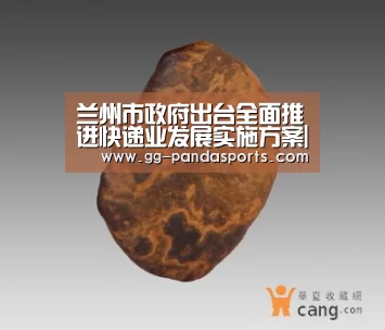 兰州市政府出台全面推进快递业发展实施方案|熊猫体育平台(图1) 熊猫体育官网