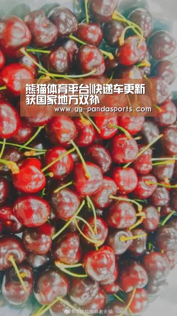 熊猫体育平台|快递车更新获国家地方双补(图1) 熊猫体育app